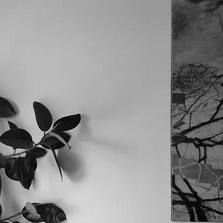 Art Studio Turnovo * Veliko Tarnovo