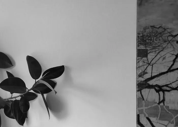 Art Studio Turnovo * Veliko Tarnovo