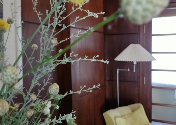 Art Studio Turnovo * Veliko Tarnovo